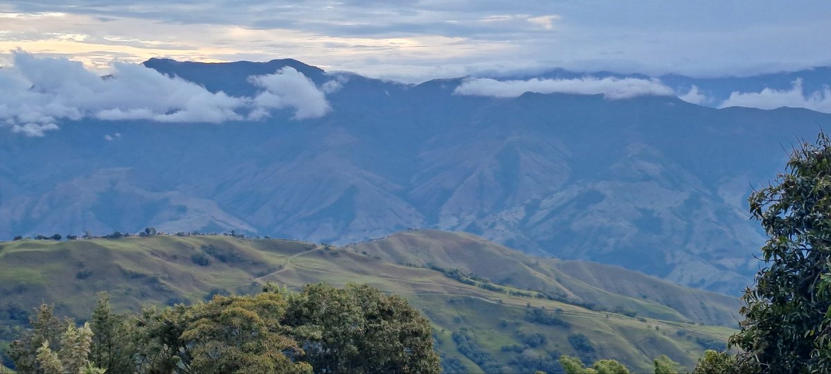 JaramilloIta's tweet image. whatsapp.com/channel/0029VZ… @altamira en antioquia