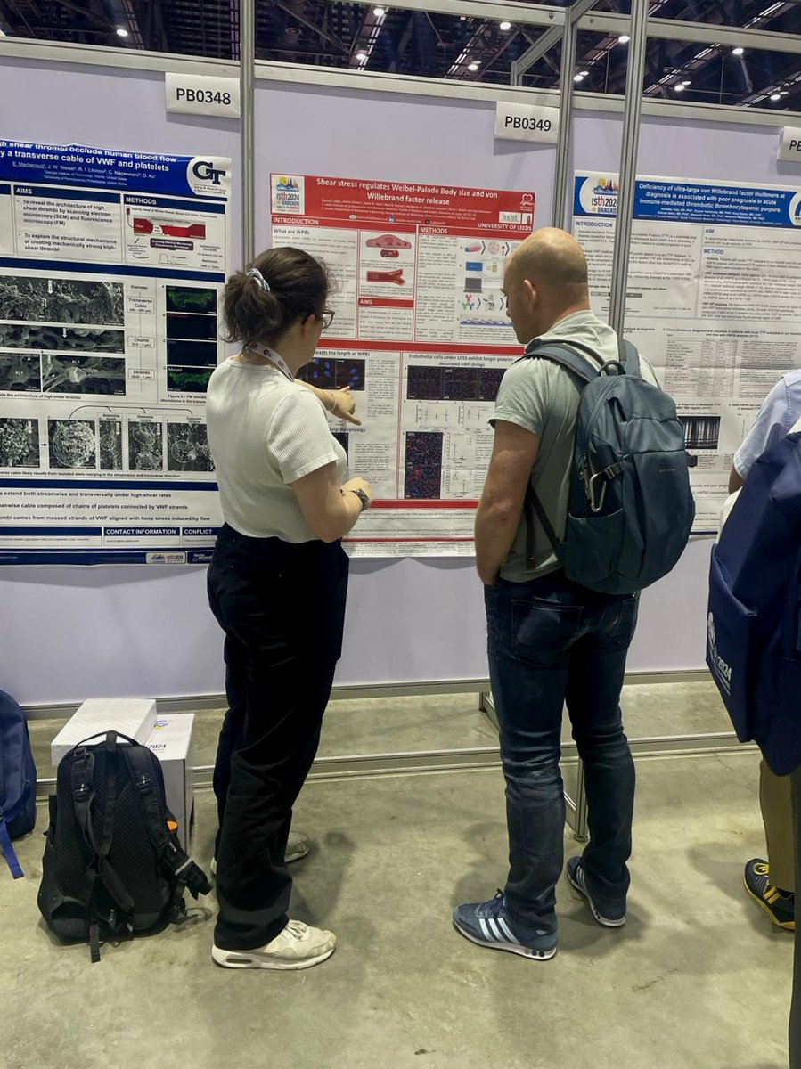 Harriet Todd tweet media