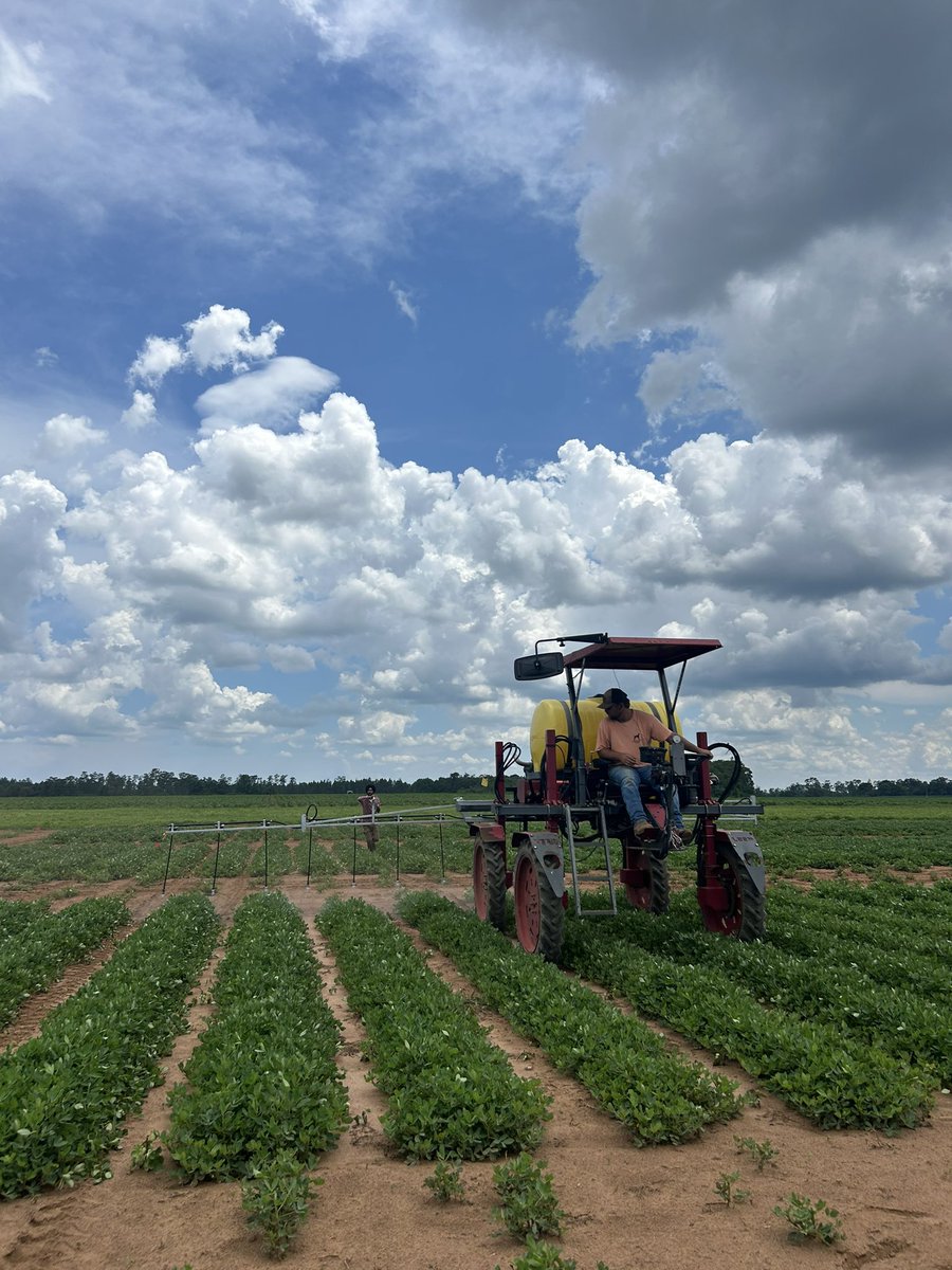 Melinda Thoms tweet media