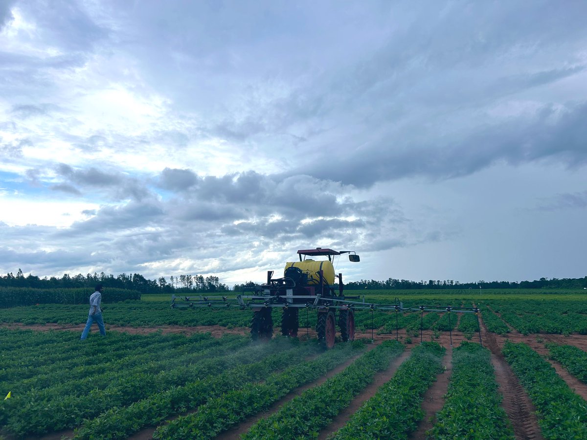 Melinda Thoms tweet media