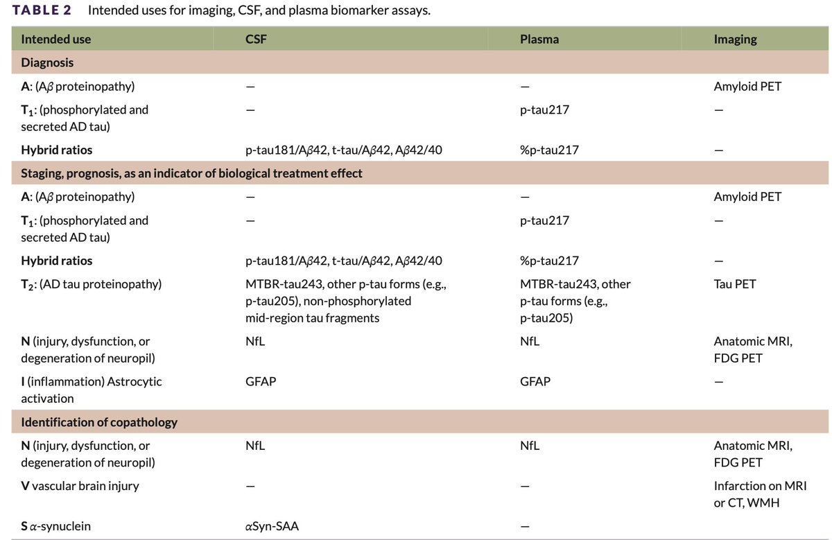 RikOssenkoppele tweet media