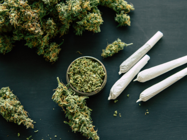 Kaya Mind tweet media