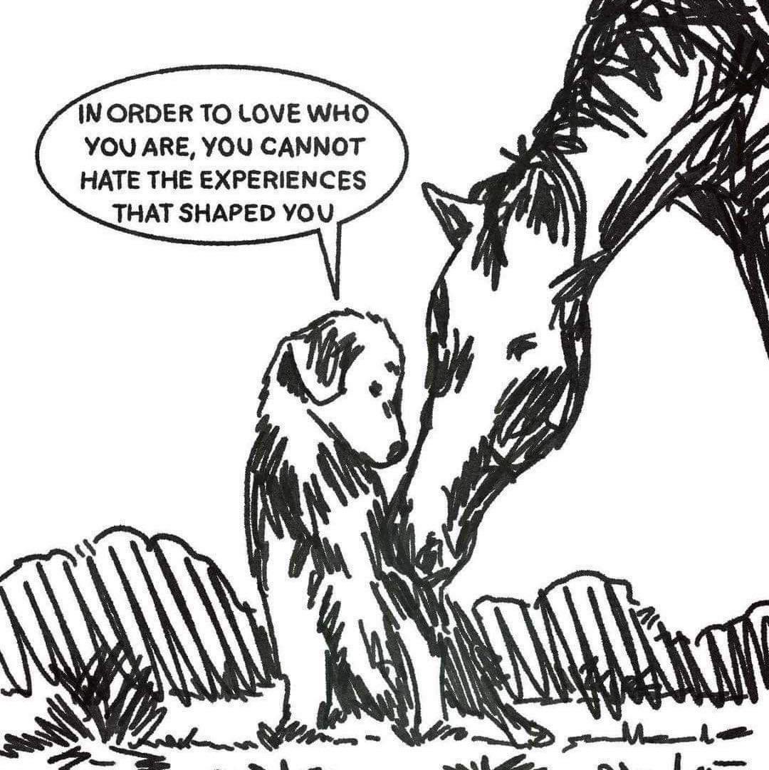 The4thWayYT's tweet image. 💯