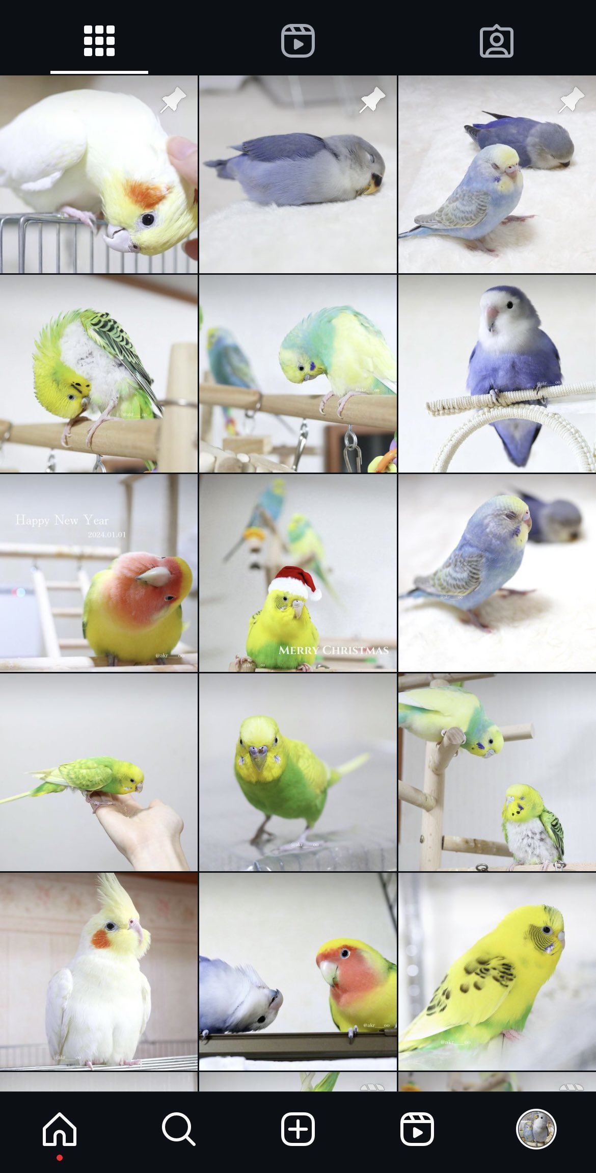 ❤金龍降臨❤エメラルド色の眼❤開運❤金網目ハウライト❤アンバ