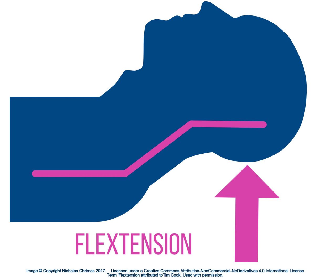 Nicholas Chrimes tweet media