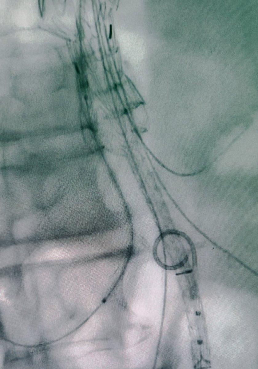 Raghu Motaganahalli tweet media