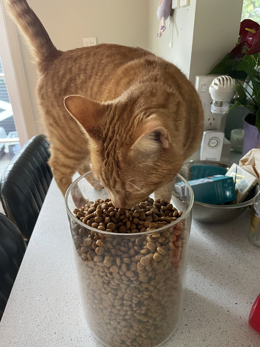 Amy Herself tweet media