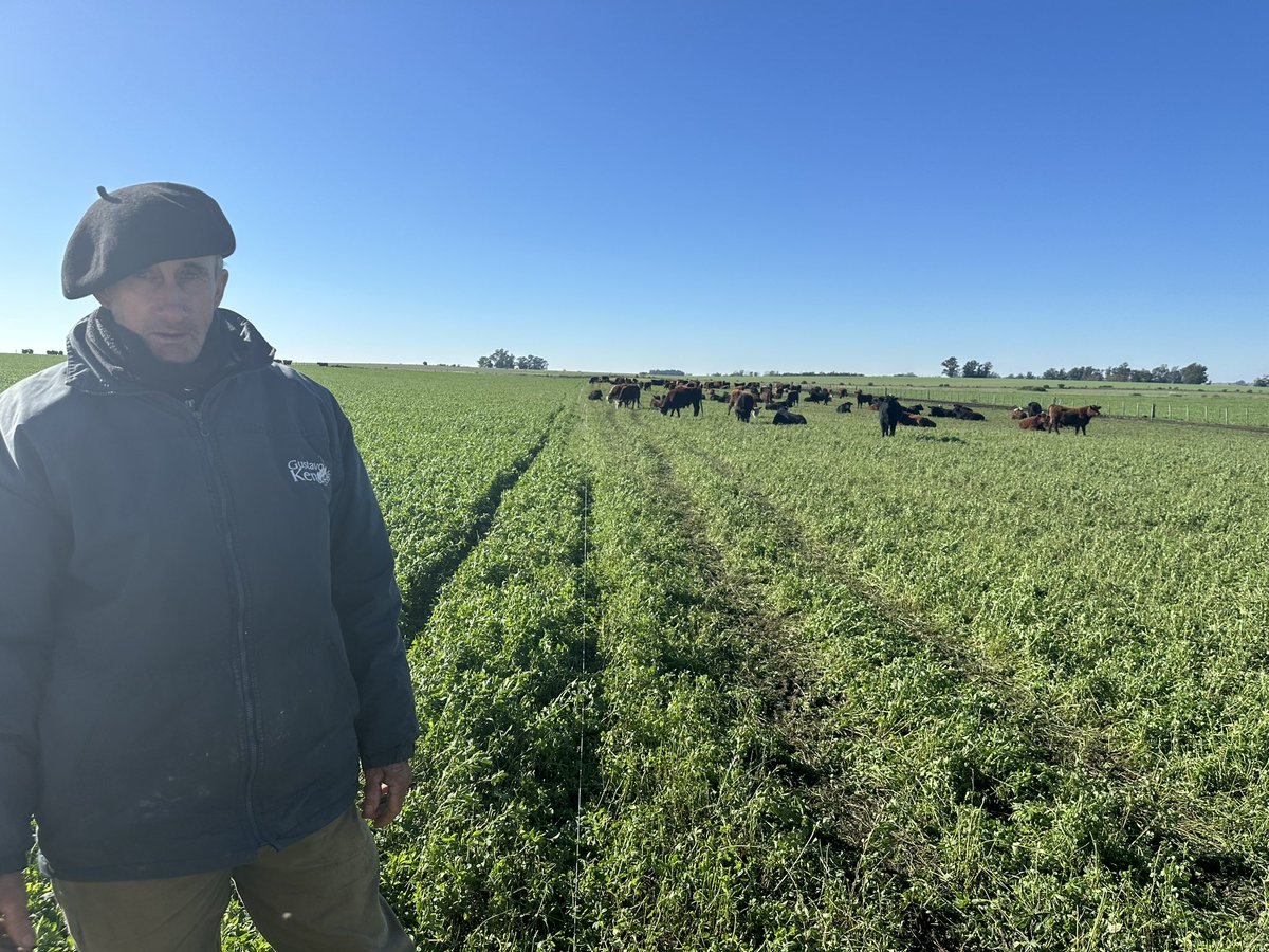 KentBernardo9's tweet photo. Finalizando Junio muy intenso, 
Molienda de Maíz 
Limpieza corrales
Vaquillonas pariendo 
Alfalfas a full
Empujando siempre para adelante!!…
FeedLotGK!!!… 🐂🐂🌽🌽 https://t.co/lR37mvtfcm