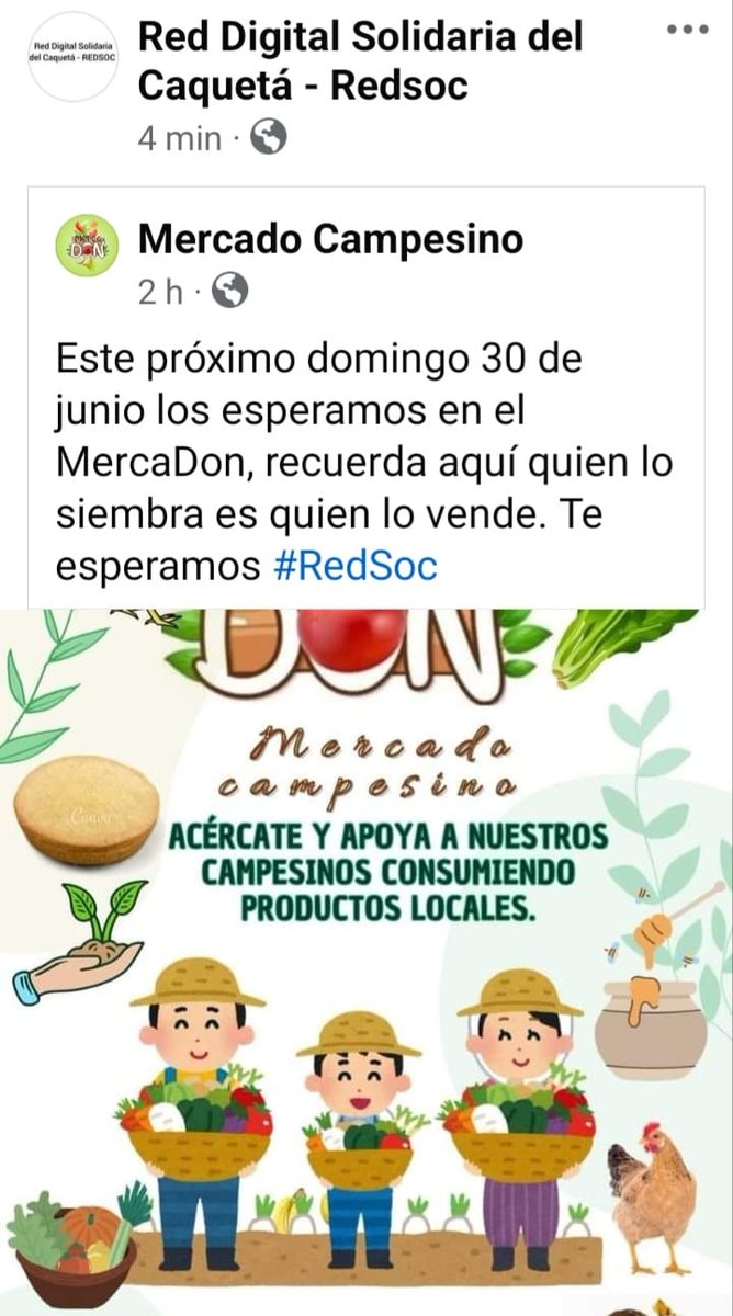 Este próximo domingo 30 de junio los esperamos en el MercaDon, recuerda aquí quien lo siembra es quien lo vende.

Te esperamos #RedSoc
Red Digital Solidaria del Caquetá

#Educación #Recreación #Deporte #Arte #Cultura #GestiónSocial #Economía #TIC

👉🔗
facebook.com/share/p/GaUdKQ…