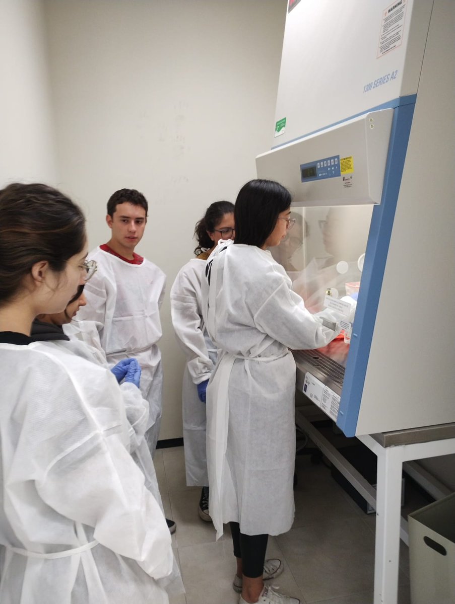 Christian_moli_'s tweet photo. an incredible 3rd week of the 4th summer school at @LIIGH_UNAM . Now the students evaluated the integrity of their DNA/RNA extracted from patient saliva, and liver and intestine samples from mice. Also, starting with the theory and práctical basis to work  with the pigment melano https://t.co/G0qceMfnj1