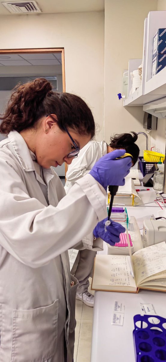 Christian_moli_'s tweet photo. an incredible 3rd week of the 4th summer school at @LIIGH_UNAM . Now the students evaluated the integrity of their DNA/RNA extracted from patient saliva, and liver and intestine samples from mice. Also, starting with the theory and práctical basis to work  with the pigment melano https://t.co/G0qceMfnj1