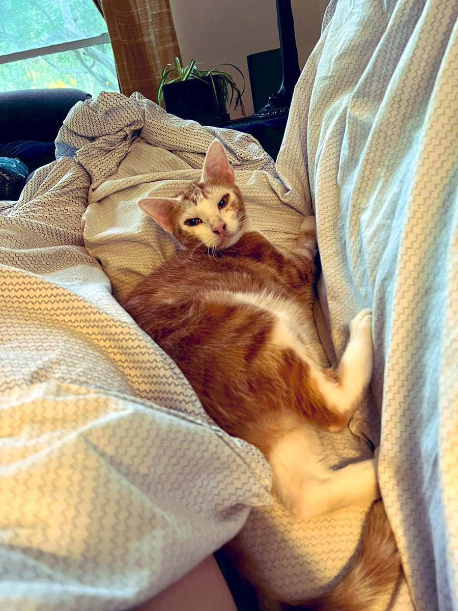 One thing about it 
Two things FOR SURE 
I am always right next to Momb. 
ALWAYS!