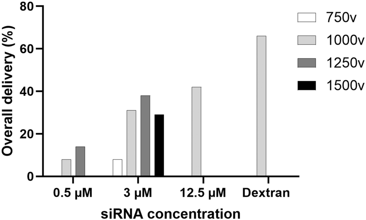 TAKosch's tweet photo. Check out this new study by Bec Webb @WreckaWebb and colleagues from @OneHealthRes, showing the first successful use of RNAi to knockdown genes in Bd. This approach shows great promise for reducing the virulence of this devastating amphibian pathogen🐸🧫🍄
https://t.co/ZYmEny7bIL https://t.co/xqPtawcZJT