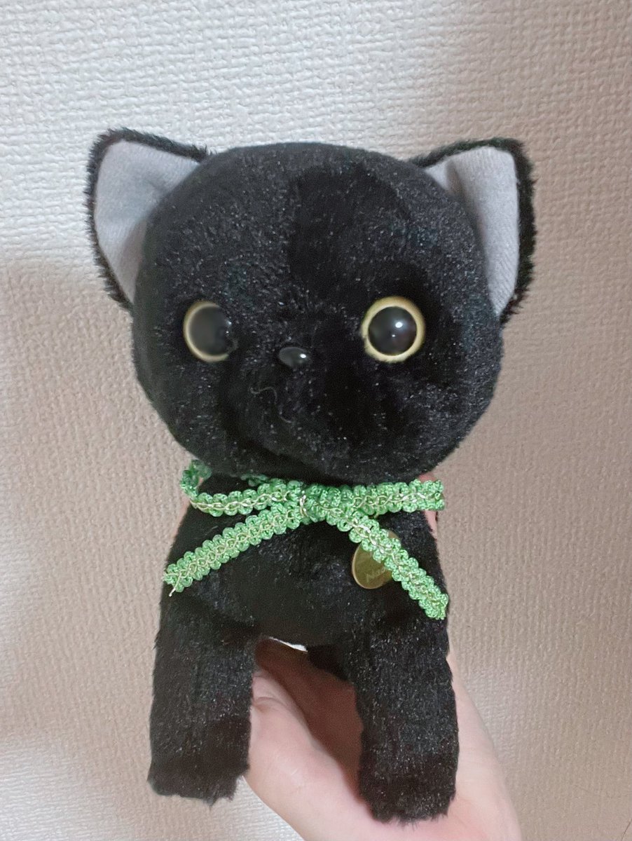 _Naomi_Payton_'s tweet image. かわいい猫ちゃんだよ。(  ´˘`  )🫰🏻
#lovelive #Liella #CatChu