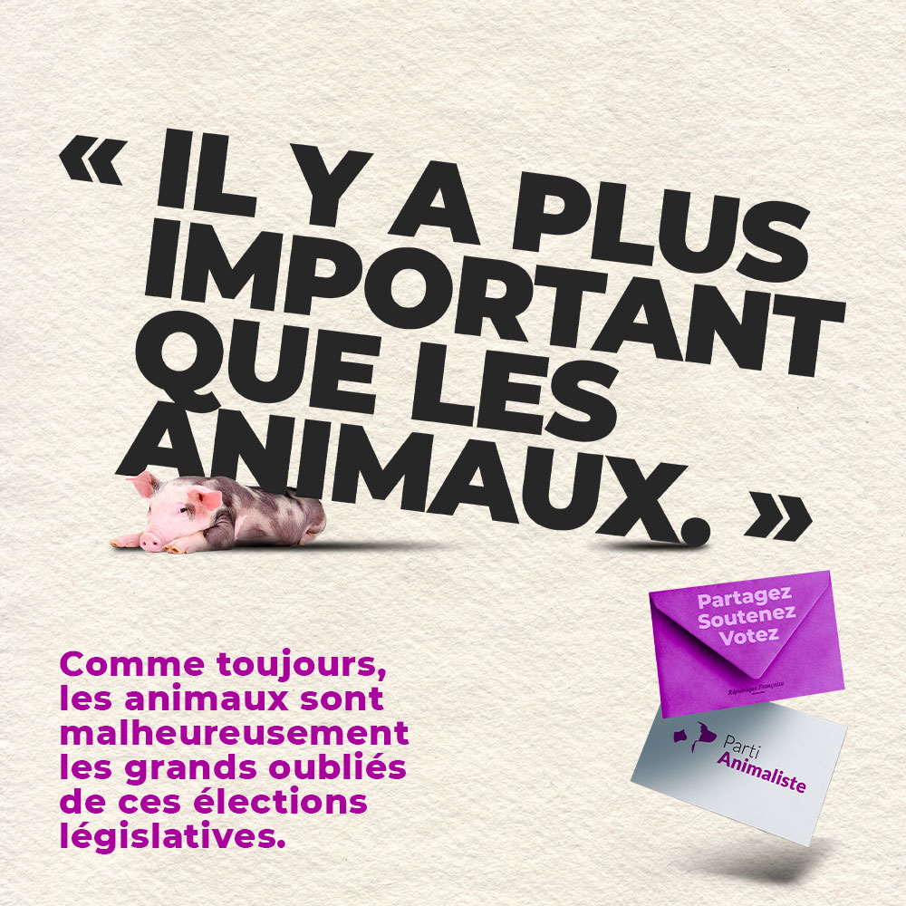 PartiAnimaliste's tweet photo. Comme toujours, les animaux sont les grands oubliés de ces #législatives, car il y a « plus important »... 

Mais quel que soit le contexte, avec cette logique, il y aura toujours plus important que de défendre les droits de ceux qui ne peuvent pas se battre pour les obtenir. https://t.co/DGODhjsijY