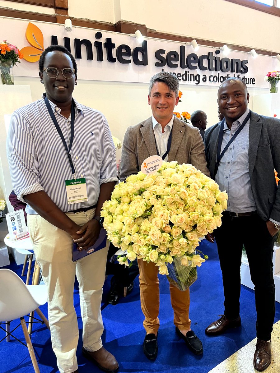 United Selections (@u_selections) on Twitter photo A stunning vase of Champagne Blossoms one of our key Spray rose highlight during IFTEX 2024 being held by Our CEO @JellePosthumus alongside @ChristopherKulei - Director of Sian Flowers(L) and <a href="/ElvisMusyoka/">Elvis Musyoka</a> - Sales Manager(R). #ChampagneBlossoms #Sprayroses #Recap #fbf #Blossoms A stunning vase of Champagne Blossoms one of our key Spray rose highlight during IFTEX 2024 being held by Our CEO @JellePosthumus alongside @ChristopherKulei - Director of Sian Flowers(L) and <a href="/ElvisMusyoka/">Elvis Musyoka</a> - Sales Manager(R). #ChampagneBlossoms #Sprayroses #Recap #fbf #Blossoms