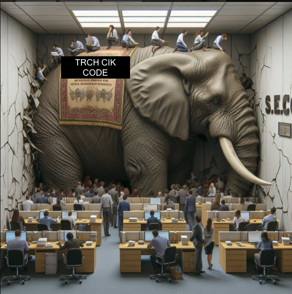 Exact_Perspective508 ⭕️🦍🦋😽 tweet media