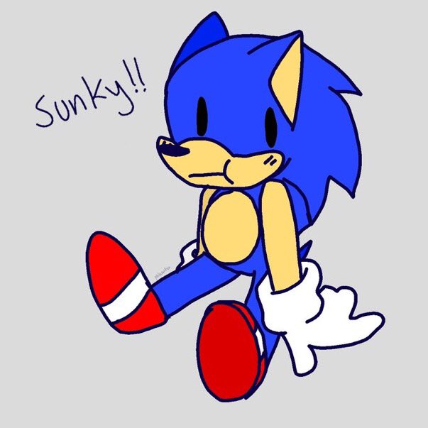 jackbasher19's tweet image. ⓘ this user loves Sunky the Hedgehog