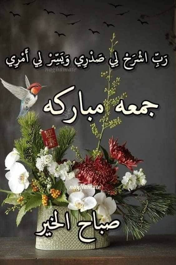 Ziad Alkakoun (@zalkakoun72135) on Twitter photo 