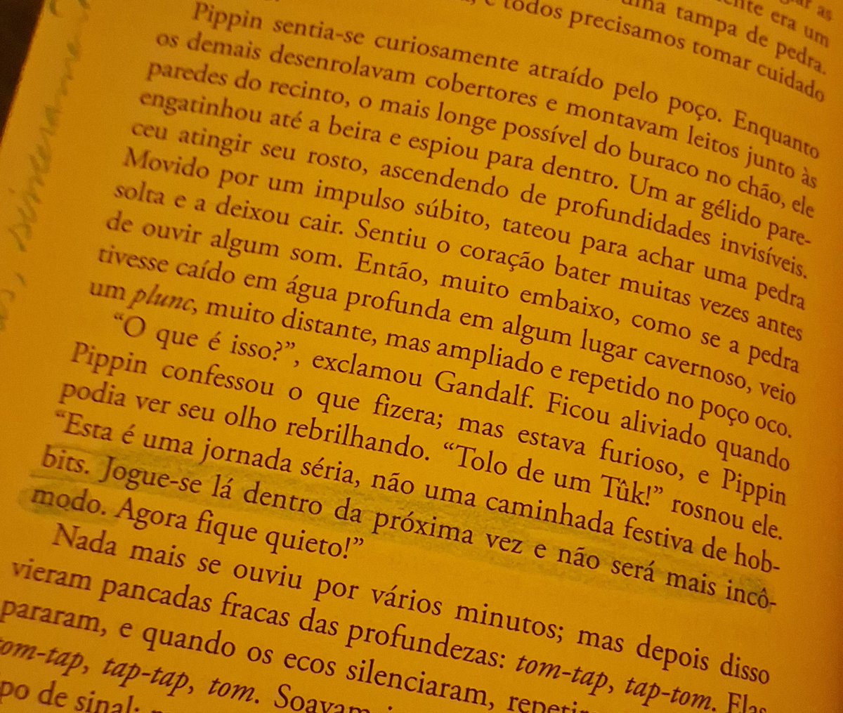 Em menos de 10 páginas gandalf ameaçou bater a cabeça de pippin na porta e mandou ele se jogar dentro de um buraco em moria

eu amo eles vsf