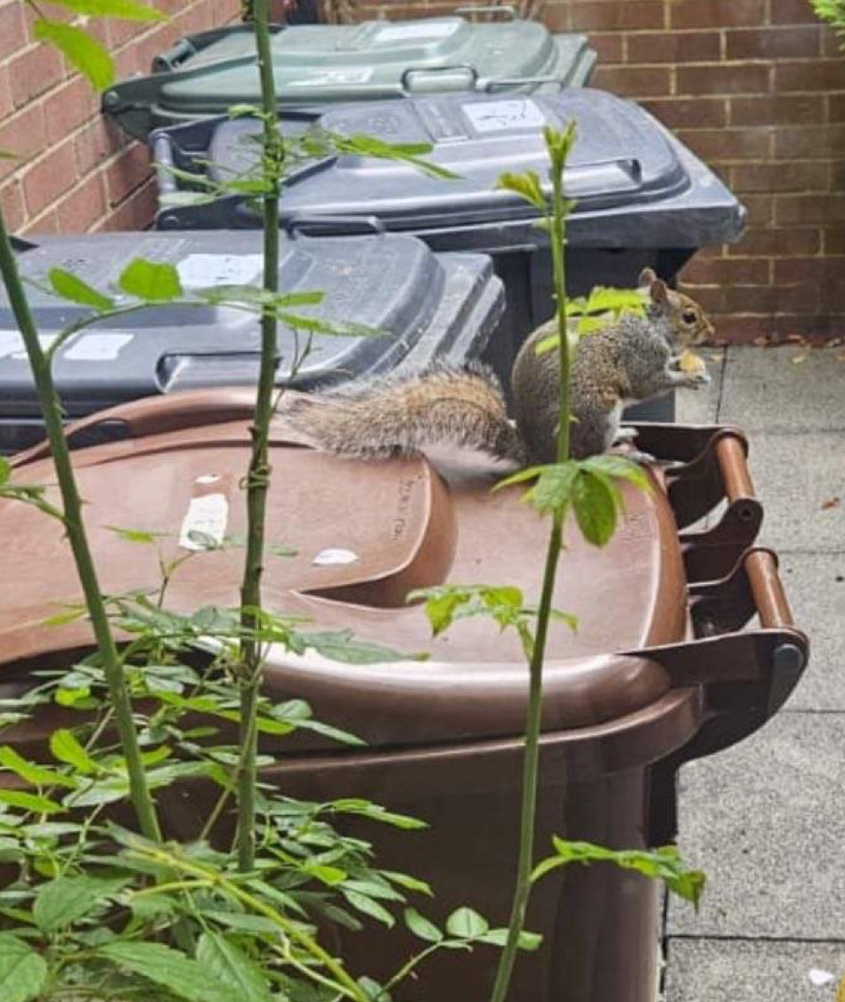 Ellissa Baskind 💜💜💜 tweet media