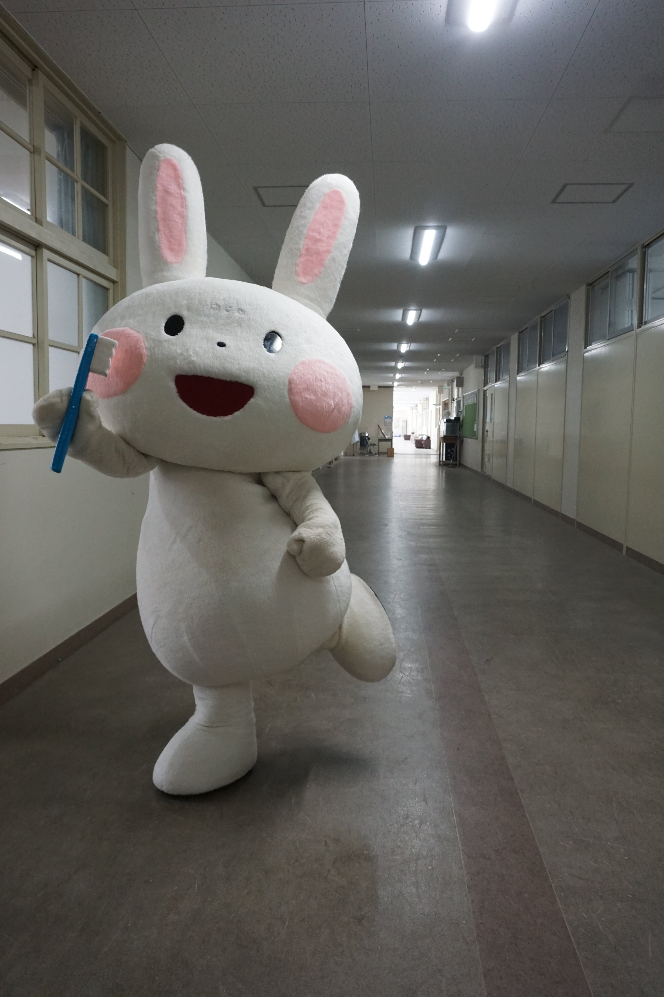 はみがきうさぎ on X: 