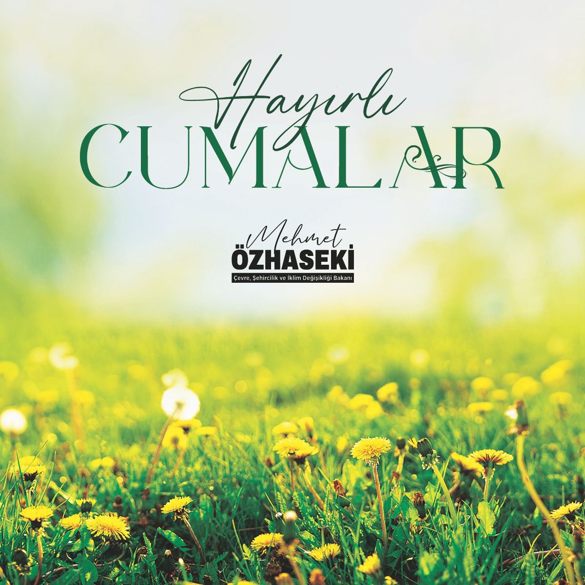Cumamız mübarek olsun.
#HayırlıCumalar