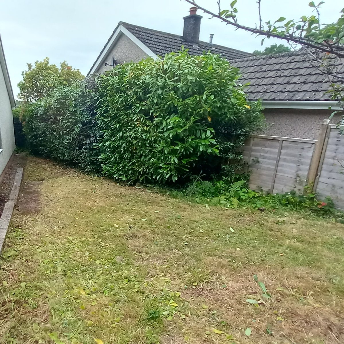 One of the Briants team put a Stihl KMA135R Cordless Kombi with HL-KM Hedge Cutter attachment to work this week.

As powerful as a petrol machine yet quiet and easier to operate.

Check out the website briantsofrisborough.co.uk/product/stihl-…

#stihl #stihlcordless #cordlesstools #gardenmachinery