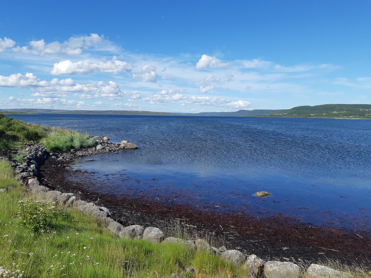 Toivotamme seuraajillemme aurinkoista kesää ja rentouttavaa loma-aikaa!😎Lasten ja nuorten kriittisen lukutaidon edistämisen pariin palaamme jälleen elokuussa. We wish you all a pleasant summer!
@strateginentutkimus <a href="/Akatemia_STN/">Strateginen tutkimus</a>