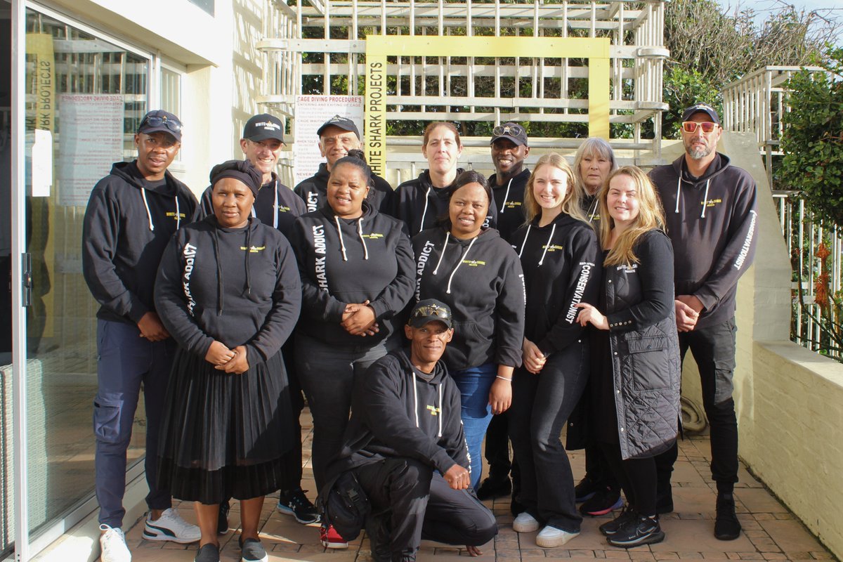 White Shark Projects tweet media