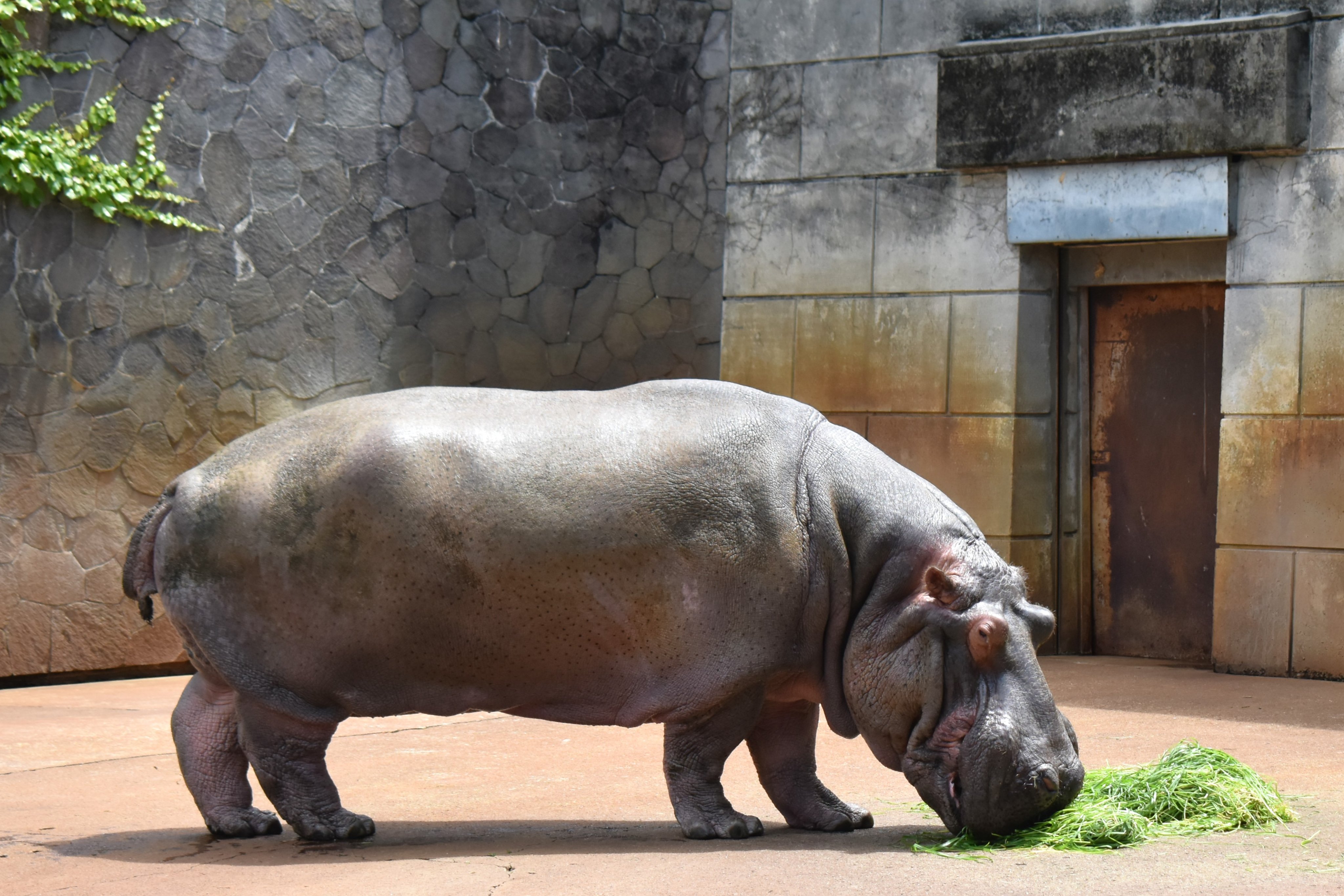 東山動植物園『絶滅危惧種カレンダー2024』プレゼント 第2弾