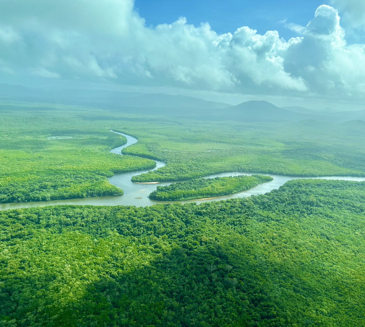 Michelle Bellingan tweet media