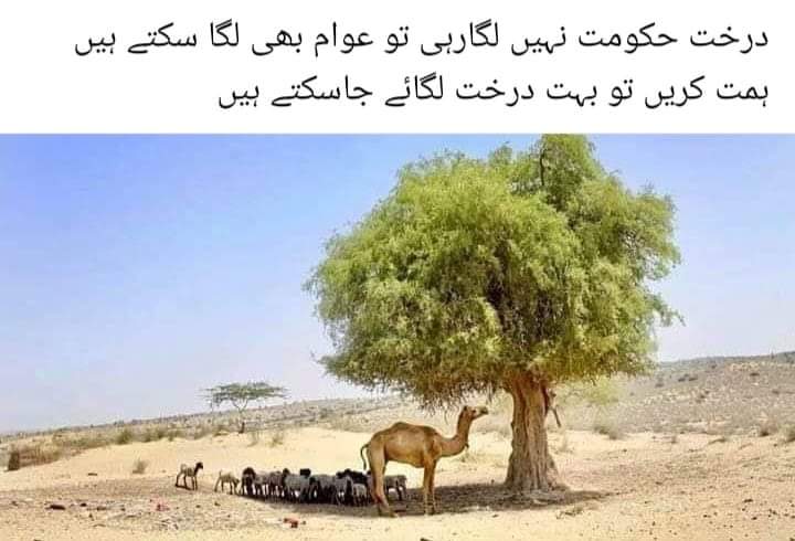 BasitRauf13's tweet photo. https://t.co/YNGE5sxZjh