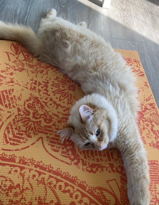 We&rsquo;re live on Twitch!!  🖤 https://t.co/4qIR0Dz4Q4 https://t.co/CrYnUmvCq3<a href="/tag/tnaagainstallodds"class="tags"><span>#tnaagainstallodds</span></a>