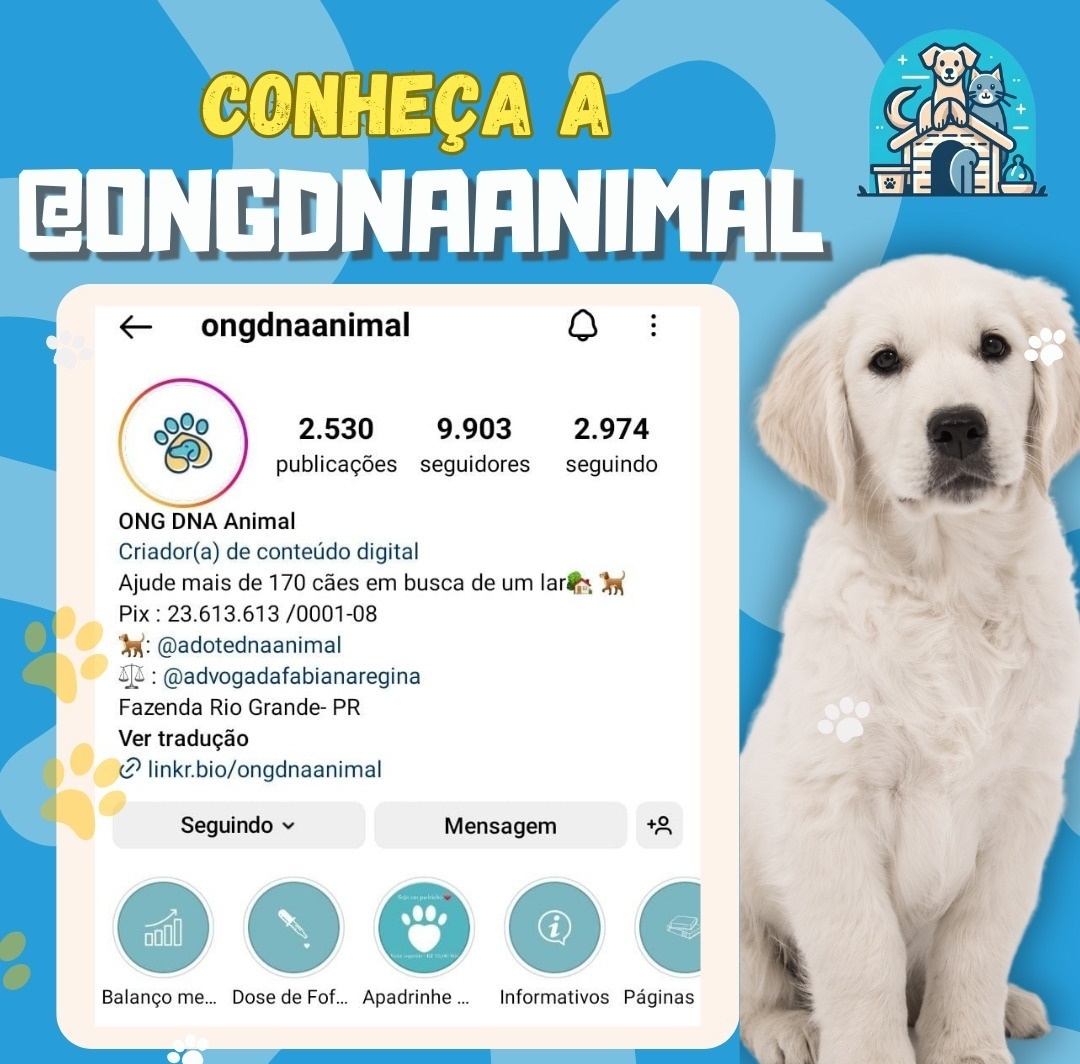 PatasAmigasUp's tweet photo. 🐾E aí? Você já conhece a @ongdnaanimal?🐾

Estamos muito felizes em compartilhar com vocês o incrível trabalho da ONG DNA Animal!

Como você pode ajudar:

Adote um animal

Seja voluntário

Faça uma doação

Compartilhe esta causa → visite a pagina no ig

Sua ajuda é fundamental https://t.co/Q6eBS099Nm