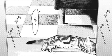 本日発売のスペリオールに『住みにごり』59話が載っています。本日発売の第6巻共々よろしくお願いいたします。