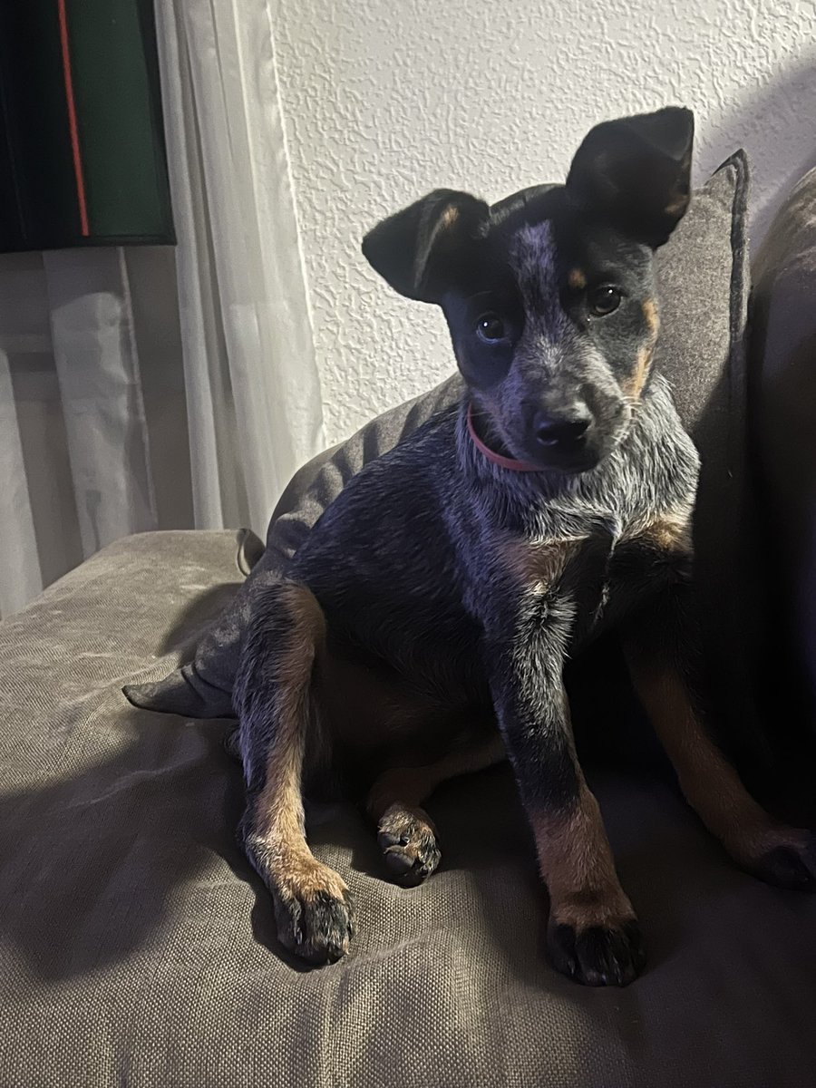 Nova is ready for the trip to Fireworks in CO this next week. We play Wednesday 2,4pm at Riverwalk Field 2 . Thursday 2,4pm Olympic Park Field 1. 

Give us a look!!!  Going to be some great softball being played. Plenty of uncommitted players to add to your college rosters.