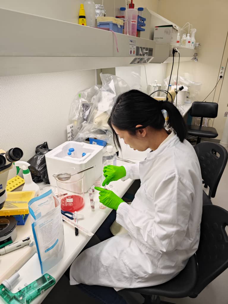 ewcgrp's tweet image. Exclusive Scientific Collaboration Between Baden Research Lab of European Wellness Biomedical Group and Heidelberg University
#ResearchCollaboration #ProteinExtraction