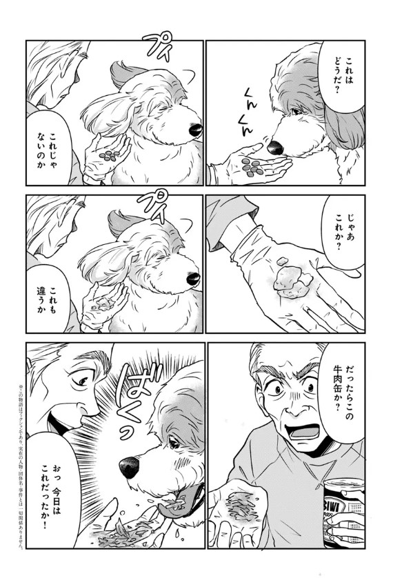 🔔更新情報🔔

『DOG SIGNAL』(作:みやうち沙矢@DogSignal)
第50話①を公開しました!
祝!連載第50回!💐どうぞお楽しみください!

https://t.co/Vvr74hnoZs

#カドコミ #コミックブリッジ #うちのこシグナル 