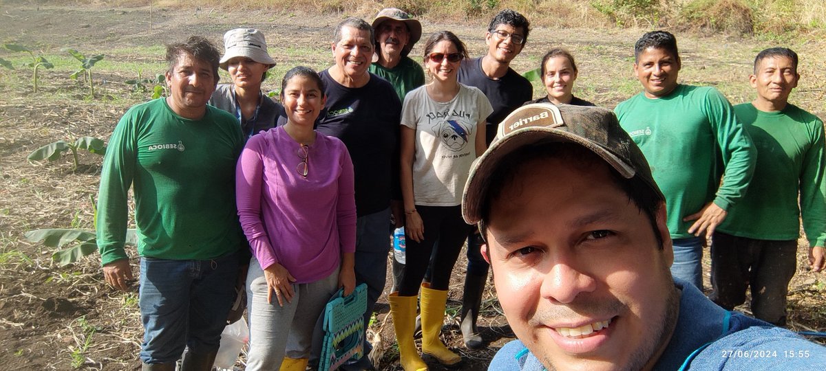 Frearmag3's tweet image. Hoy en @espol junto a @SebiocaE sembramos nuevos mutantes de 🍌 y material promisorio de plátano para el control del moko 🦠. La bioseguridad es clave, pero la sostenibilidad de ambos sectores requiere mejorar la genética de nuestras variedades. Si no es ahora, cuando?