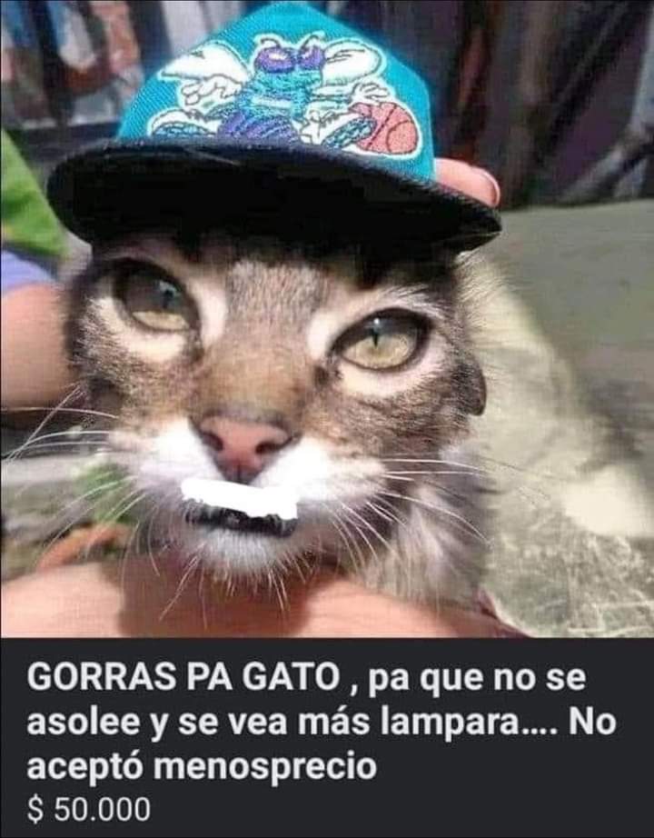 nico (@forerolas) on Twitter photo 