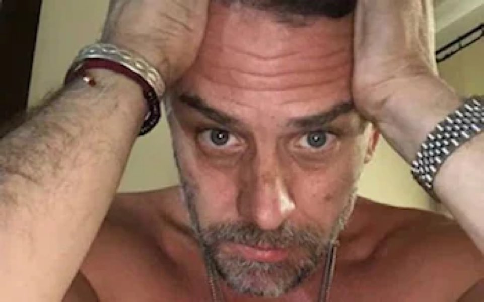 Product Hunt 😸 tweet media