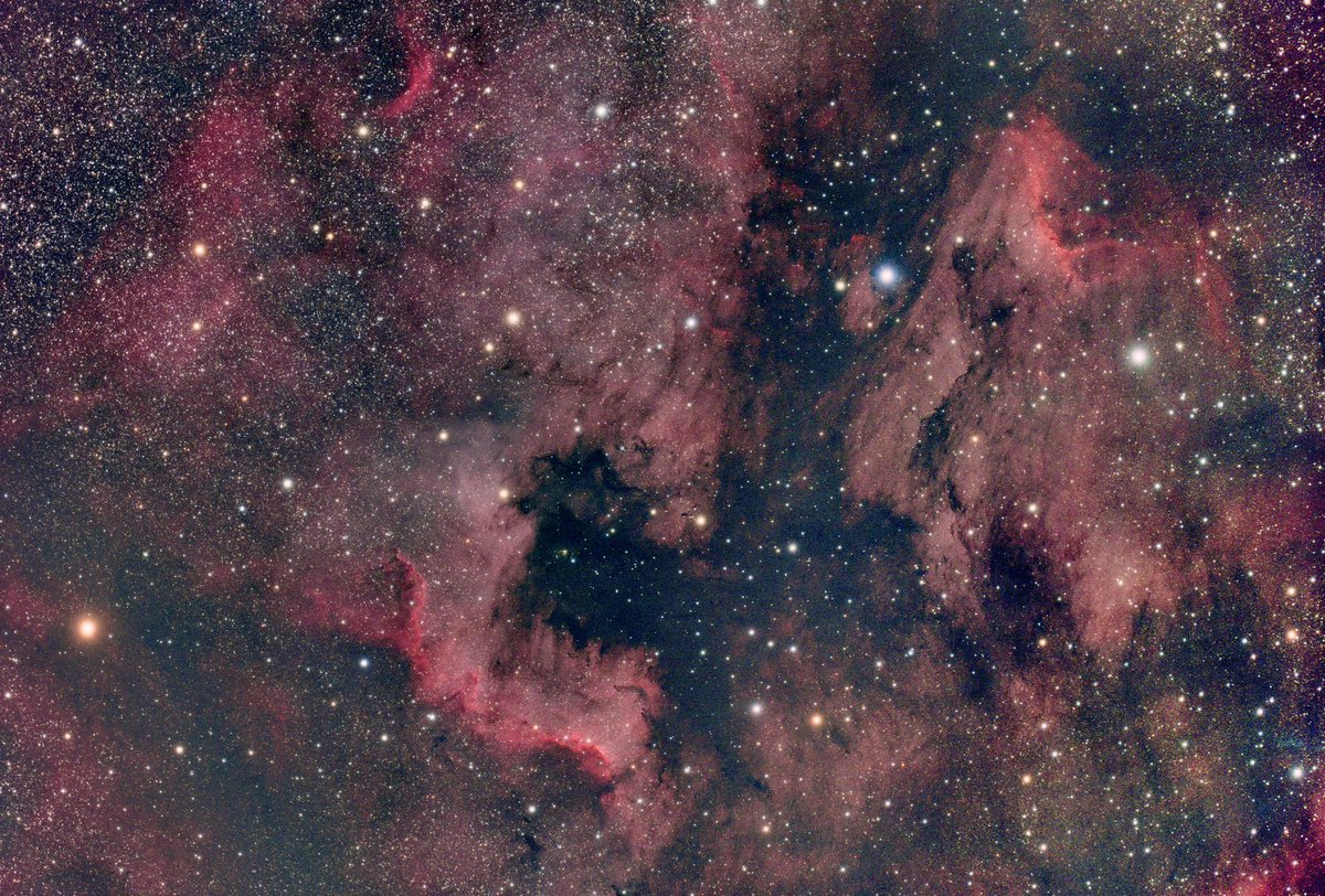 North American and Pelican Nebula. A bright nebula in Cygnus 2600 light years away in our galaxy. 

Askar V at 80mm with reducer, ASI2600MC Pro Duo on an AM5 mount. Taken June 10 2024