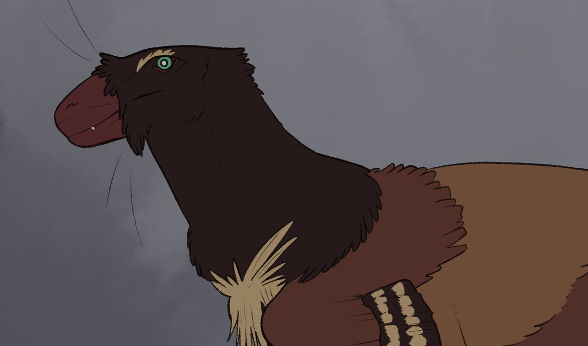 Raptor yourself now!!!