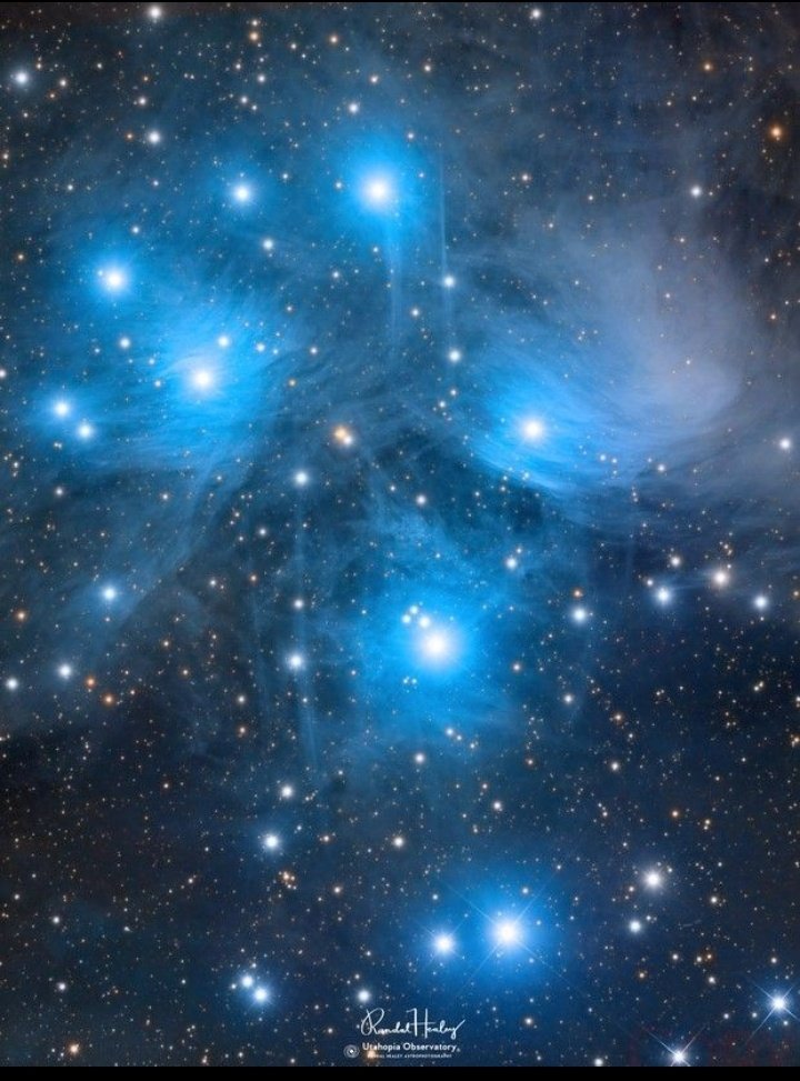 M45, The Pleiades (Randal Healey) - AstroBin  astrobin.com/k4ko0m/