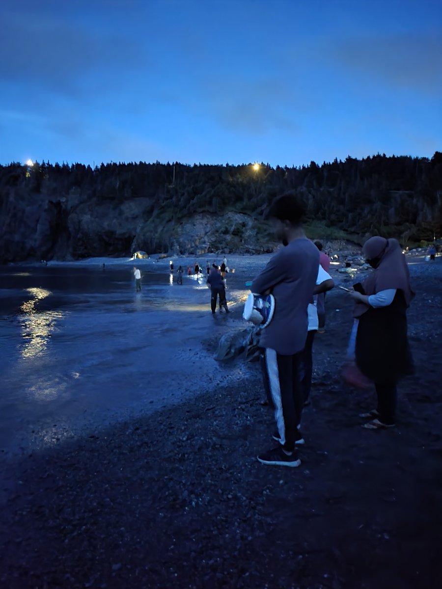 LittleSuzie1971's tweet photo. Capelin at Middle Cove Beach this evening. What a beautiful night and wonderful start to the annual event!   #capelinroll2024 #capelin https://t.co/Jey1bvYEN8