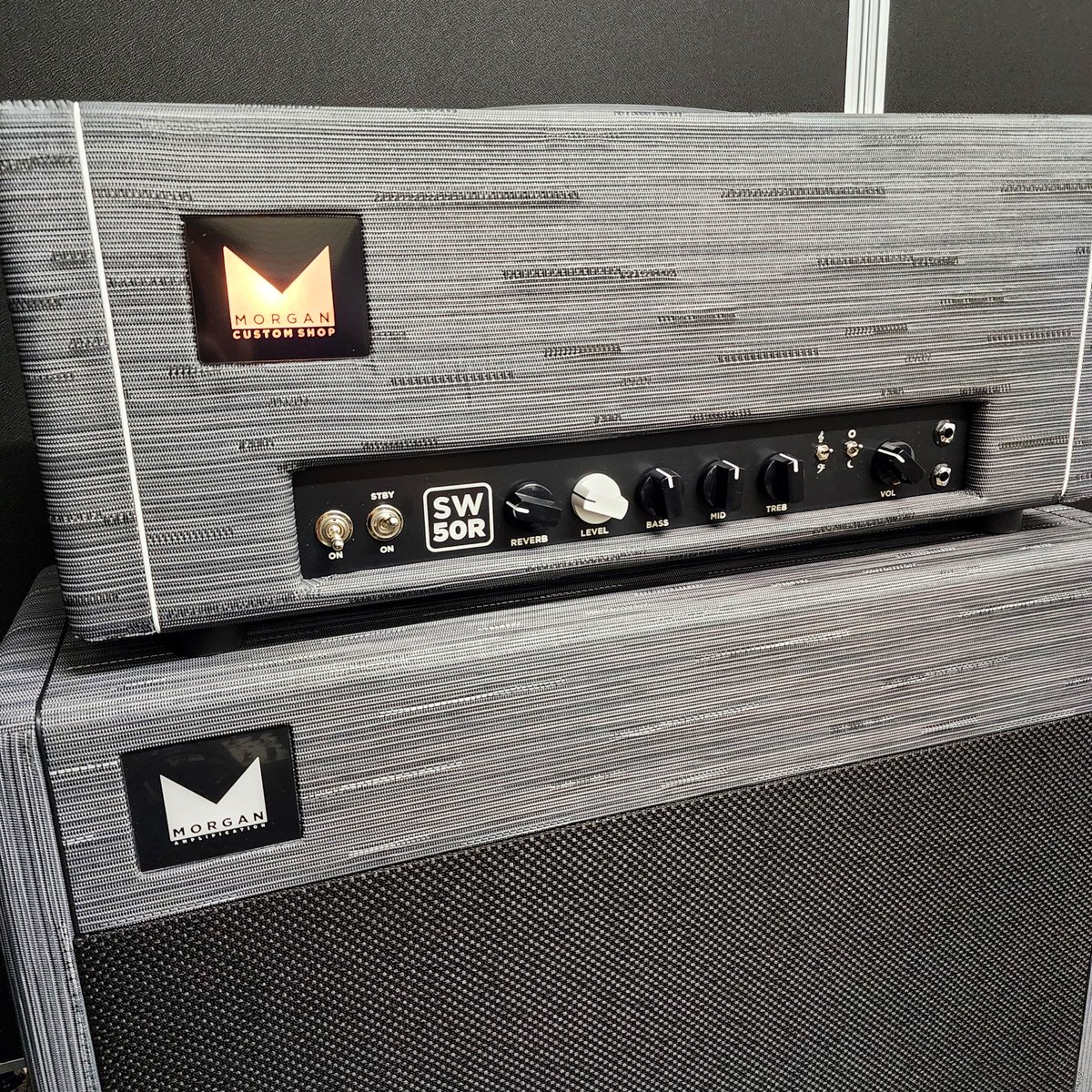 緊急参戦決定】 Morgan Amplification Custom Shop SW50R Head 