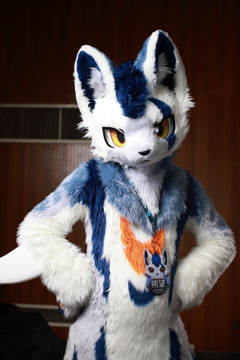 #FursuitFriday 
不要再看我的肚子了，没办法，人间的美味太多（抹泪
拍摄：@枫