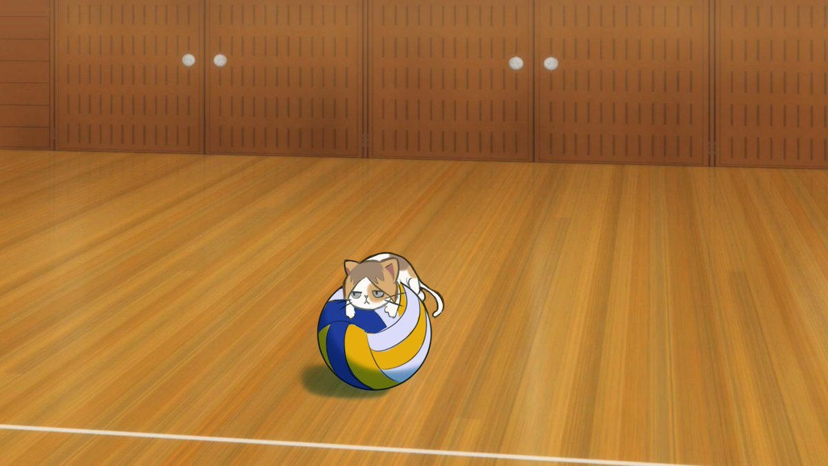 bthsrose's tweet image. no tempo dele more