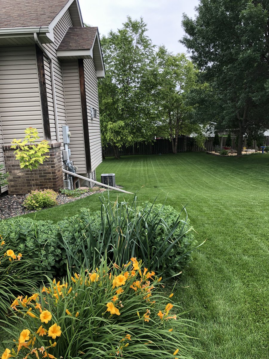 Theis23Aaron's tweet photo. @OutKickTNML Light rain and 67°F. Summer feeling like Fall, but the turf has never looked better! Sprinklers have ran less than 5 times and loving The Mow! Great to see all the neighbors talk about the league. Mowing on Thursday is Contagious! #TNML https://t.co/76igQyjFxD